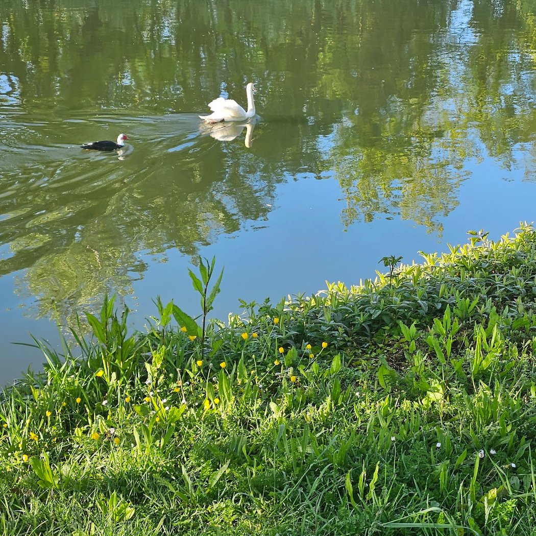 Les bords de l’oise 1